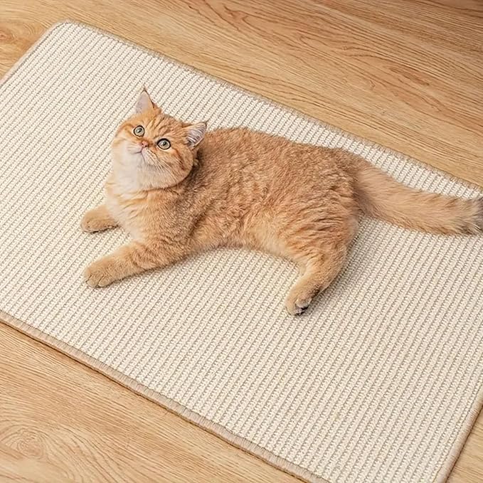 Cat Scratcher Mat