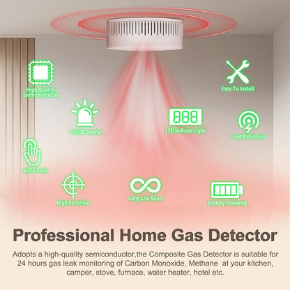 Gas Leak Detector Alarm